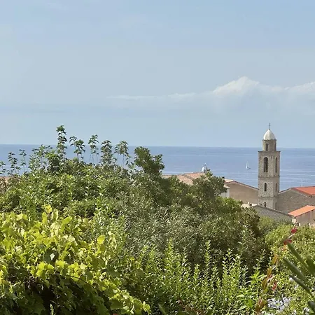 Maison Les Aloes - Vue Et Proche Centre Propriano (Corsica)