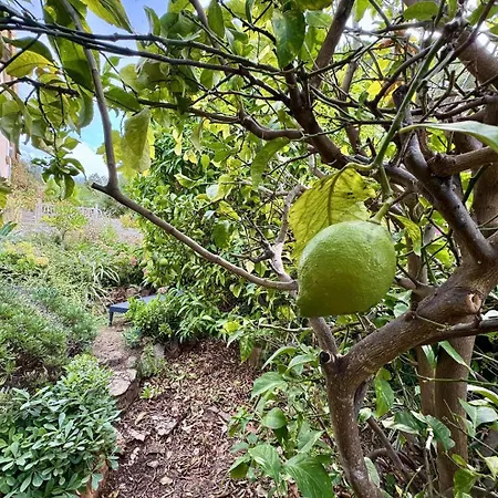 Maison Les Aloes - Vue Et Proche Centre Propriano (Corsica)