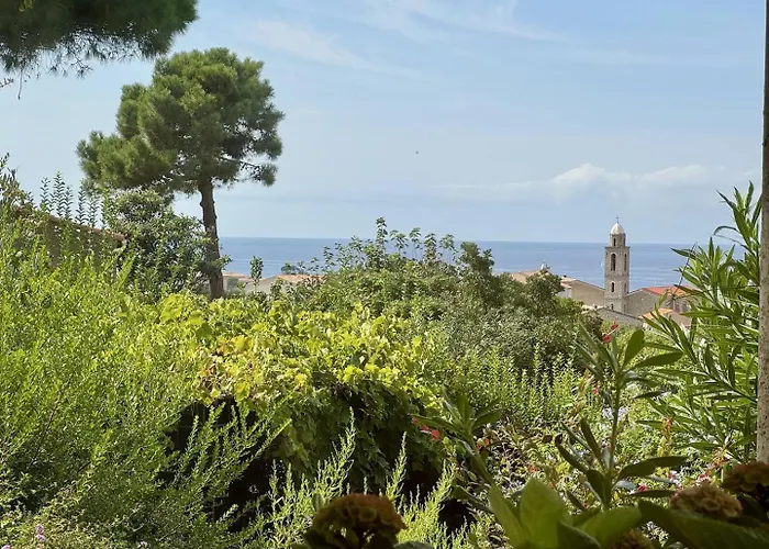 Maison Les Aloes - Vue Et Proche Centre * Propriano (Corsica)
