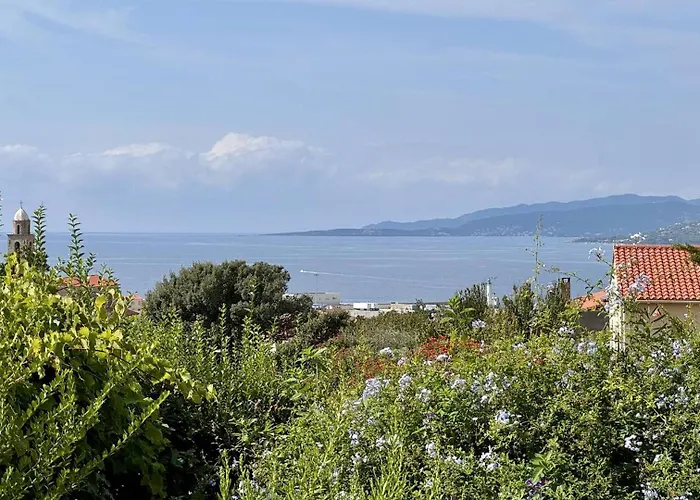 Vila Maison Les Aloes - Vue Et Proche Centre Propriano (Corsica)